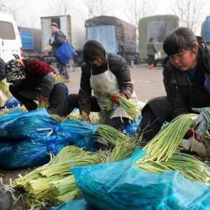 商务部：蔬菜批发价格连涨10周