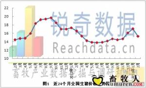 锐奇数据2013年2月猪评：全国生猪价大范围下跌