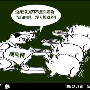 新华网：“瘦肉精”何以再次危及餐桌安全？
