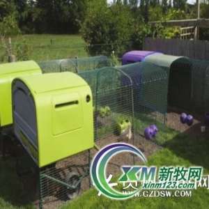 英国母鸡旅馆享受“五星级”服务