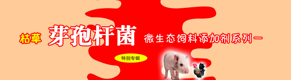 枯草芽孢杆菌微生态饲料添加剂系列一
