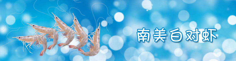 南美白对虾
