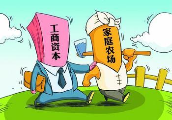 养鸡：专业公司PK专业农民