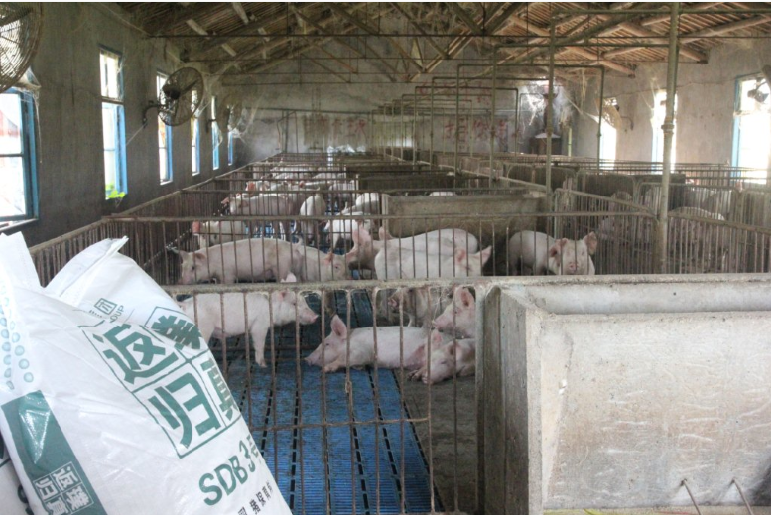 九鼎饲料长驻荆州中央储备肉基地
