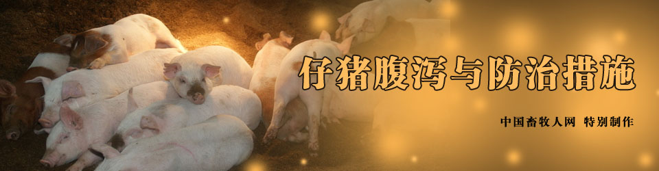 仔猪腹泻与防治措施