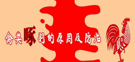 禽类啄羽的原因及防治