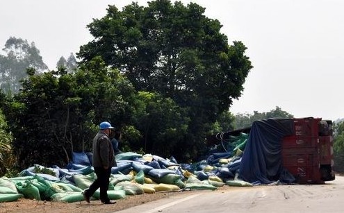 浦北一货车侧翻饲料散出 交警救助颗粒无损