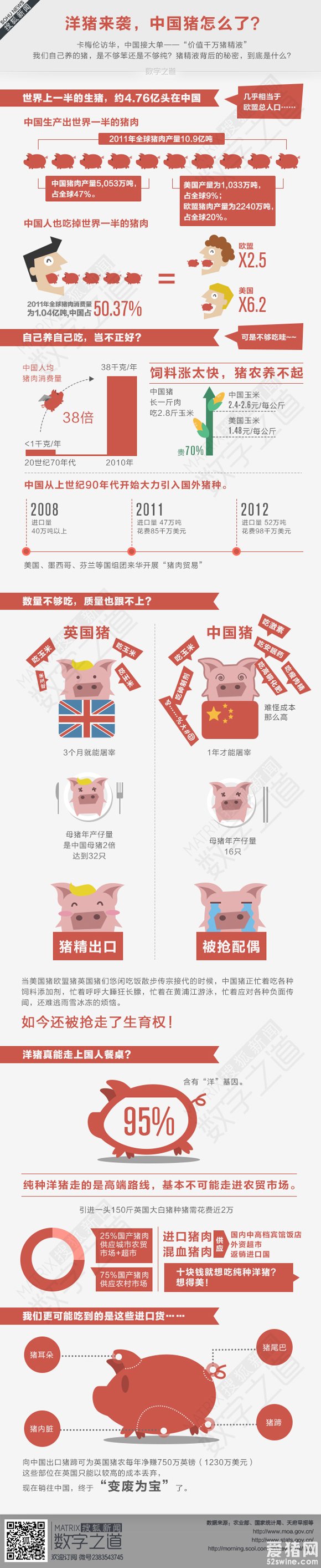 中国进口猪精液 中国猪怎么了？