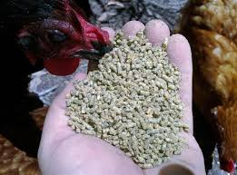 影响配合饲料质量的四个因素