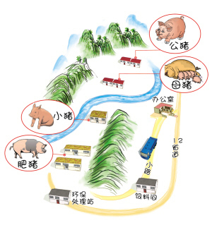 揭秘你不知道的网易猪：猪场悬空无臭味 臭气用水封