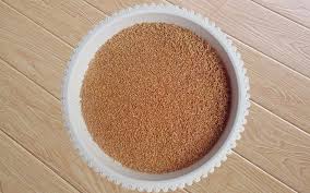 实现生物饲料工业化生产重中之重
