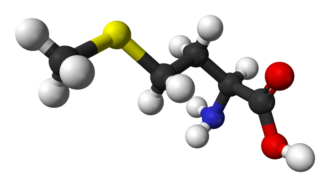 强制送孩子去叛逆学校有用吗