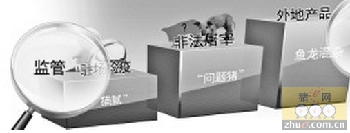 检察官揭秘“问题猪肉”如何流入市场