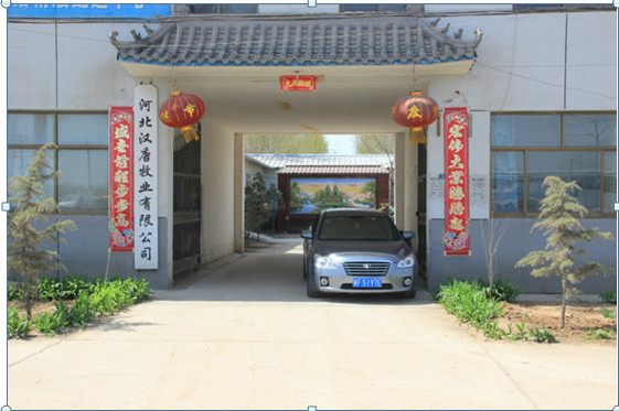 乘风破浪会有时----汉唐牧业扎根养猪行业跨步向前