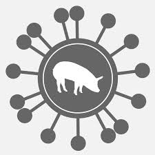 猪及其饲料的相关知识