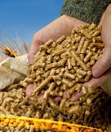 浸泡、蒸煮、焙炒、制浆、发芽法调整猪饲料