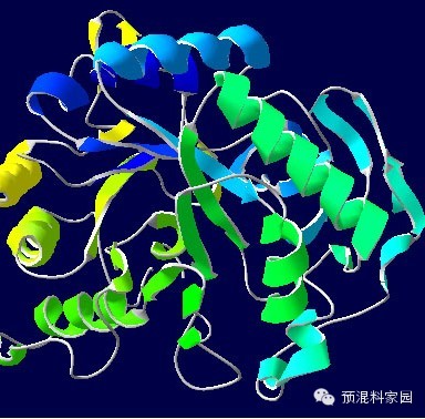 饲用酶制剂介绍和应用关键点