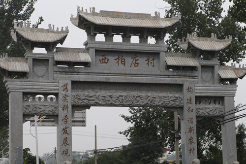 吾谷网“一村一品”调研：西柏店村的食用菊花