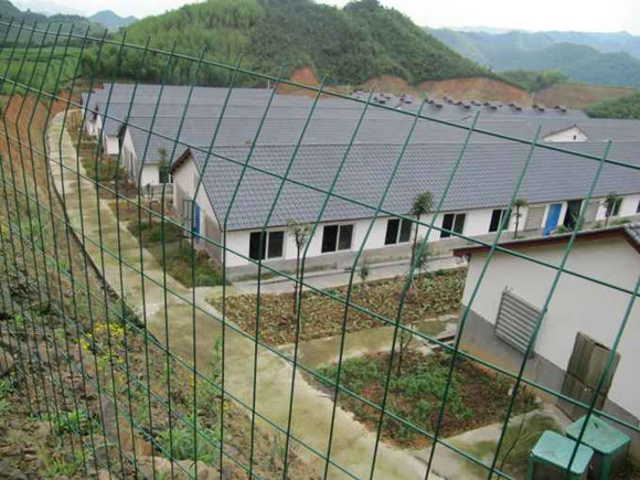 猪场秋季管理要点：防应激、营养加保健