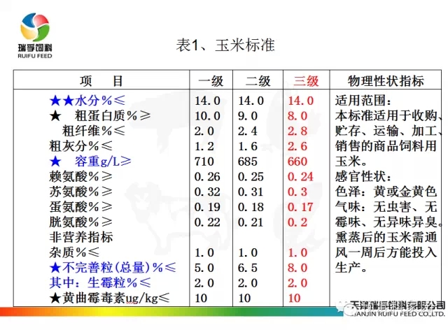 对于玉米不得不知道的事情