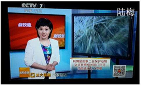 伟嘉二十华诞盛宴，园博园共襄盛举！