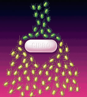 食源性细菌的耐药率升高
