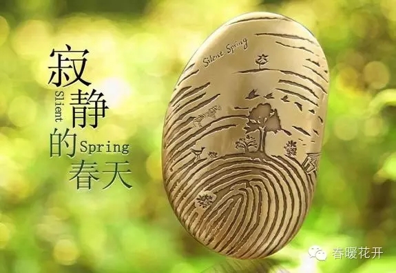 陈春花致敬柴静：人的高度由双手决定