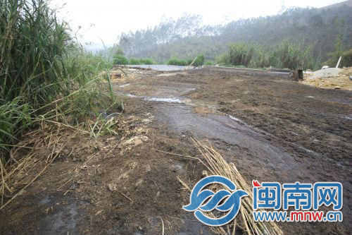福建严抓畜禽环保　又一猪场被责令整改