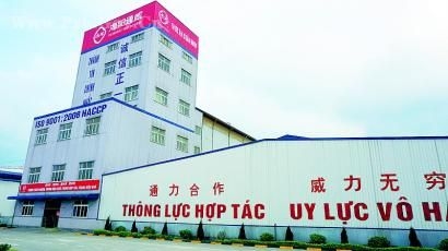 海外探访：新希望、通威等饲料企业抱团突围闯越南