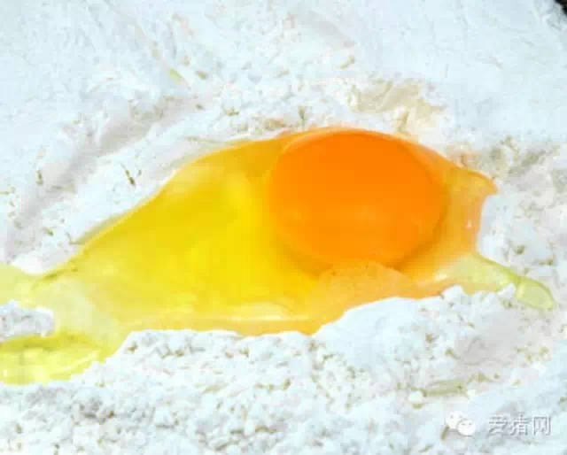 乳清蛋白浓缩物成本高昂 是否有替代品？