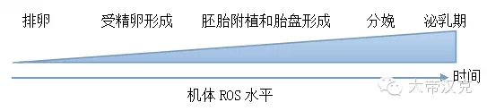 华中农业大学彭健教授：《进程性氧化应激对母猪繁殖性能的影响及营养调控》