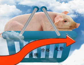 三大因素决定今年生猪价格涨势