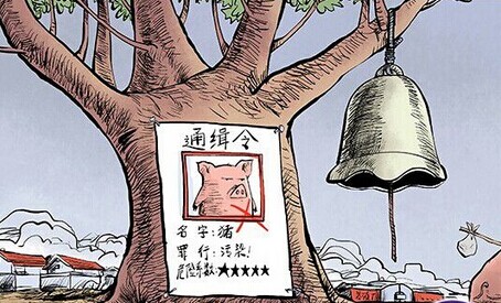 养猪大县下“禁猪令”，因市长被约谈？