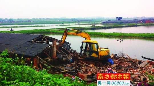博罗龙溪500家非法猪场9月底全拆完