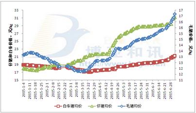 东北猪价震荡调整，南方开启上涨模式