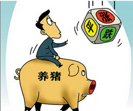 中国养猪产业链将在未来两年内引爆