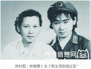 林彪长女的惨淡一生 屡遭迫害被后妈叶群发配边疆养猪