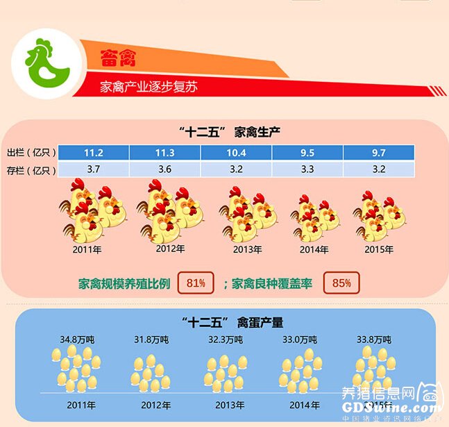最新数据：广东2015年万头猪场340家，居全国第一
