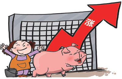 猪肉价格高位运行能持续多久