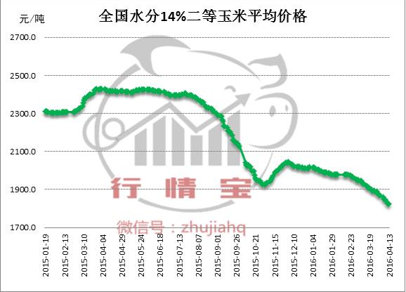听说“好”玉米要涨价了？