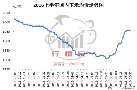 2016年玉米价格分析及下半年预测