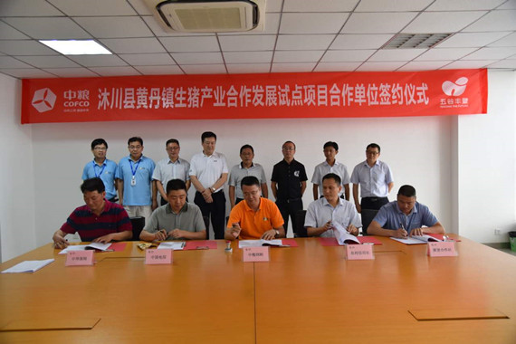 央企联姻养猪专业合作社  中粮饲料西南大区开启精准扶贫新模式