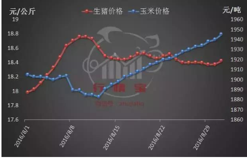 四季度猪价将出现阶段性反弹！
