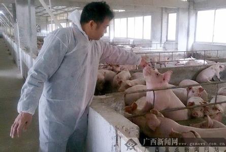 香喷喷的猪肉背后有怎样的坚守?记者带您去探访