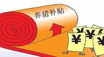 农村养猪补贴知晓率仅6.25%?补贴究竟如何惠及养猪人