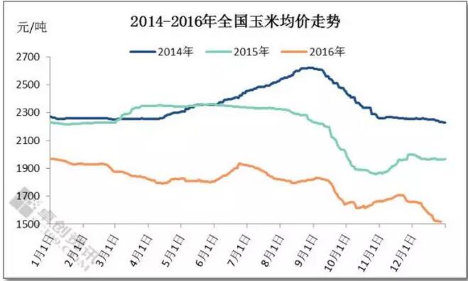 玉米价格已跌到底部，该出手了！