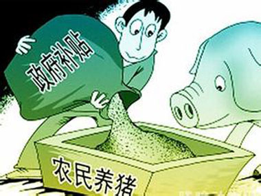 2017-2020年，国家扶持养猪政策将重点补贴这几个方面