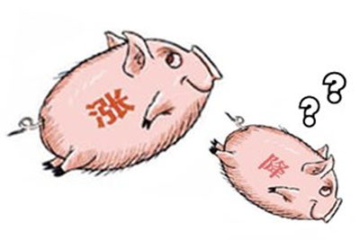 猪价下调最后一搏 关键节点上养殖户该如何做?