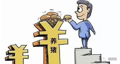 母猪产能连降40个月至历史最低，2017还会是养猪黄金年？
