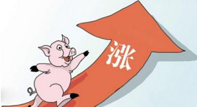 鸡年首个寒潮预警来袭降温10度，是否会拱高猪价？